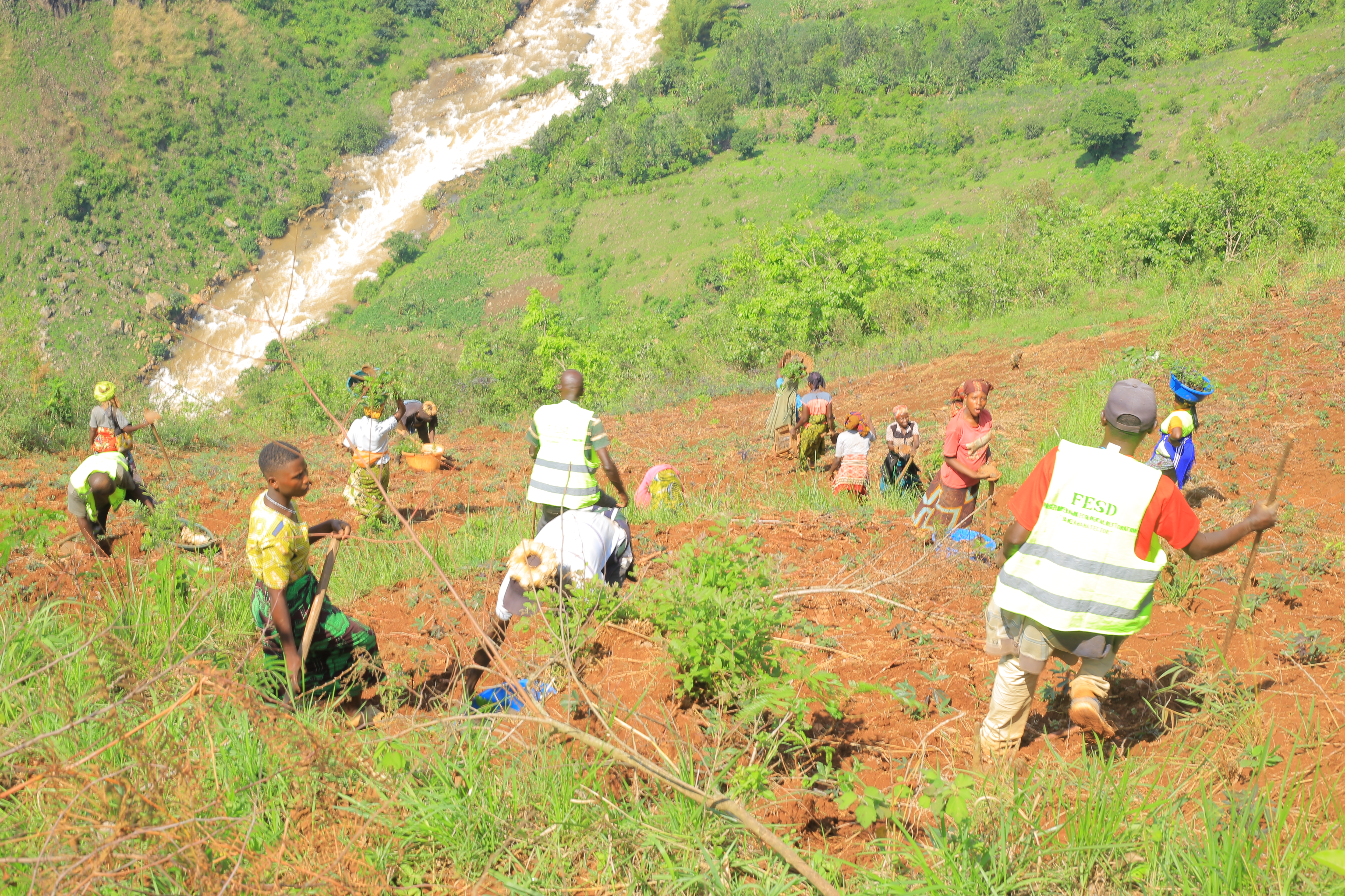Capturing our efforts in tree planting, reforestation, and biodiversity protection.