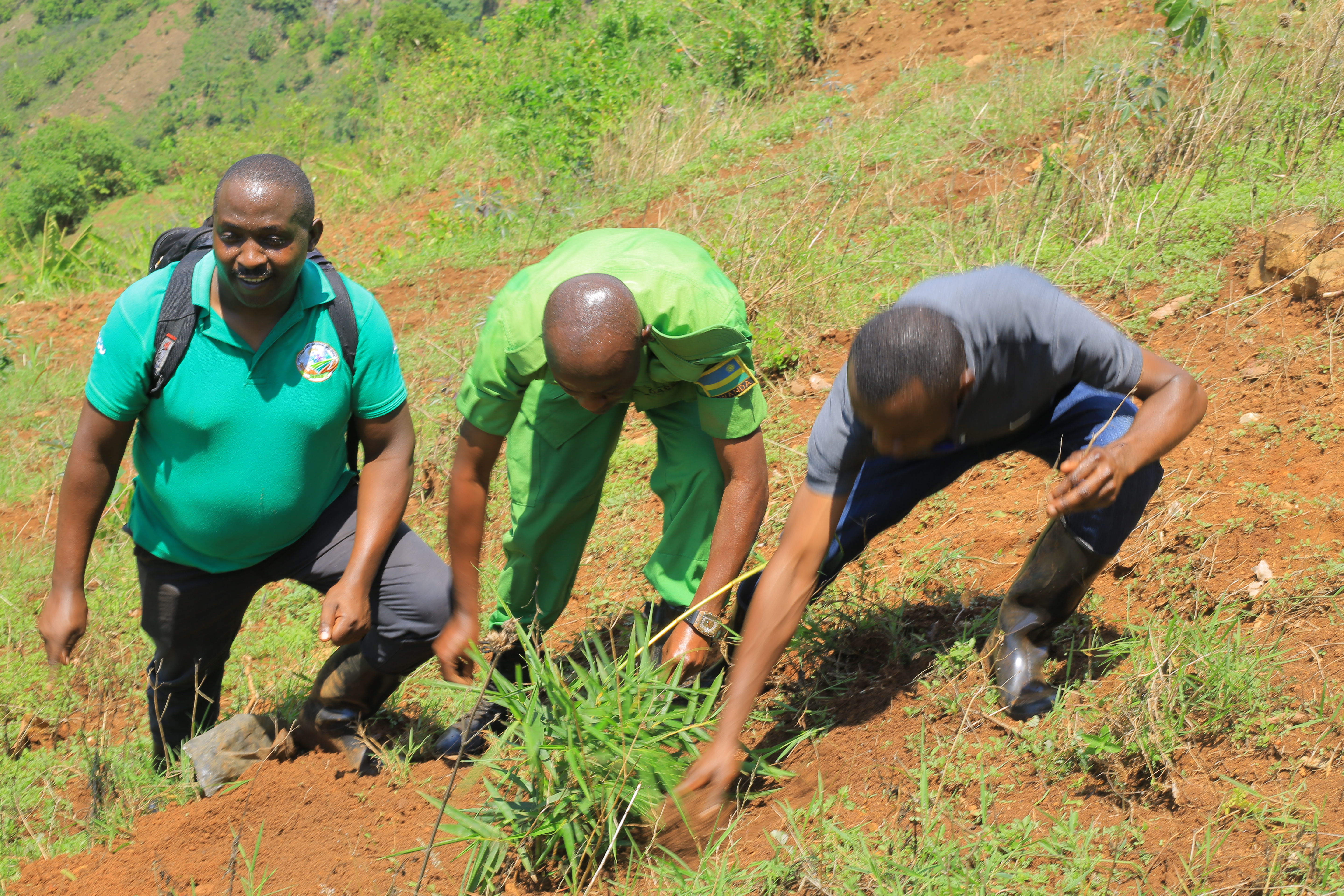 Our impact in combating climate change through eco-friendly solutions.